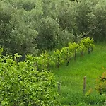 Appartement Casa Doris Montecarotto, Le Marche - Lage, Glasfaser Wifi, Neu Renoviert *