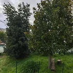 Casa Doris Montecarotto, Le Marche - Lage, Glasfaser Wifi, Neu Renoviert *