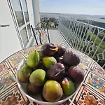 Apartman Casa Doris Montecarotto, Le Marche - Lage, Glasfaser Wifi, Neu Renoviert Montecarotto