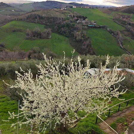 Casa Doris Montecarotto, Le Marche - Lage, Glasfaser Wifi, Neu Renoviert *