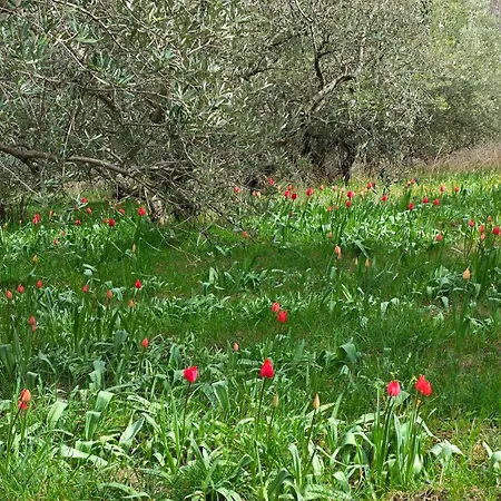 Casa Doris Montecarotto, Le Marche - Lage, Glasfaser Wifi, Neu Renoviert * 몬테카로토