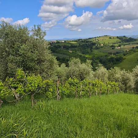 Casa Doris Montecarotto, Le Marche - Lage, Glasfaser Wifi, Neu Renoviert 몬테카로토