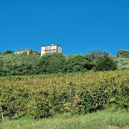Apartament Casa Doris Montecarotto, Le Marche - Lage, Glasfaser Wifi, Neu Renoviert Montecarotto